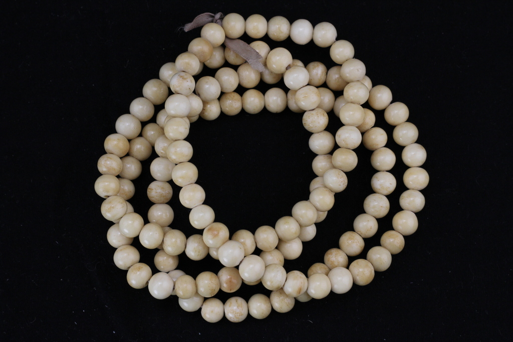 Bone / tusk bead necklace