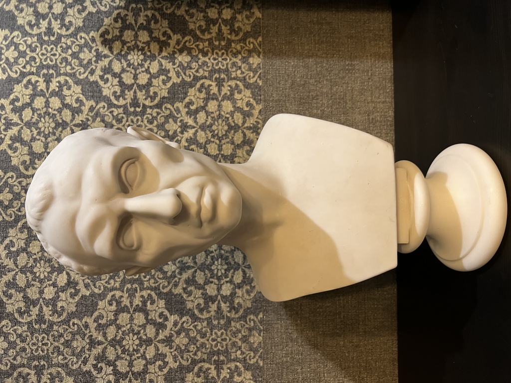 Marble bust. After a complete restoration.