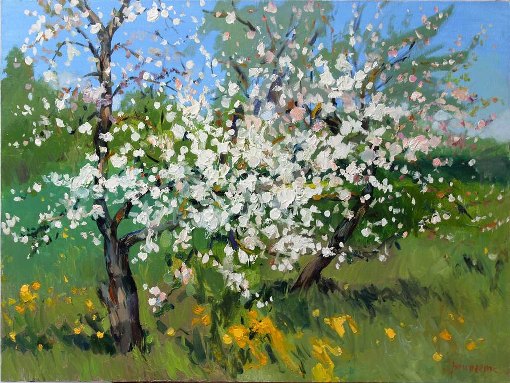 Blossoming apple trees