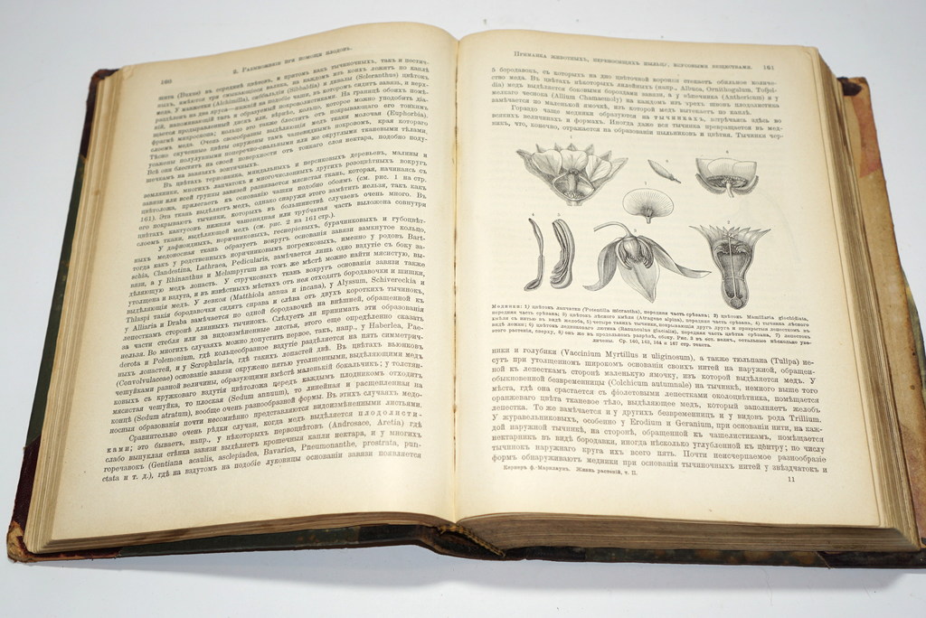 Жизнь растений, А.Кернер фон Марилаун (второй том)