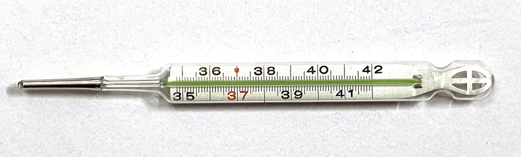 German mercury thermometer with case