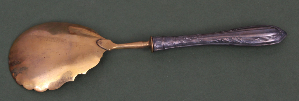 Spoon with silver handle in original box