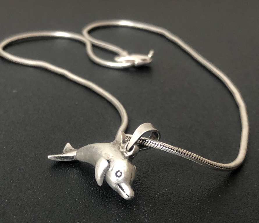 Silver pendant Dolphin with a chain