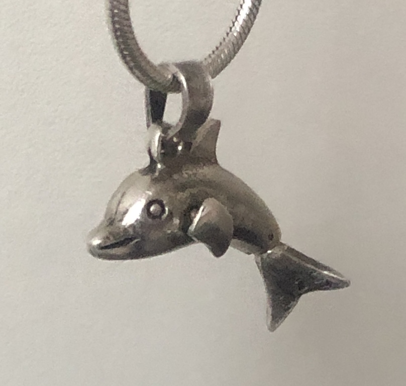 Silver pendant Dolphin with a chain