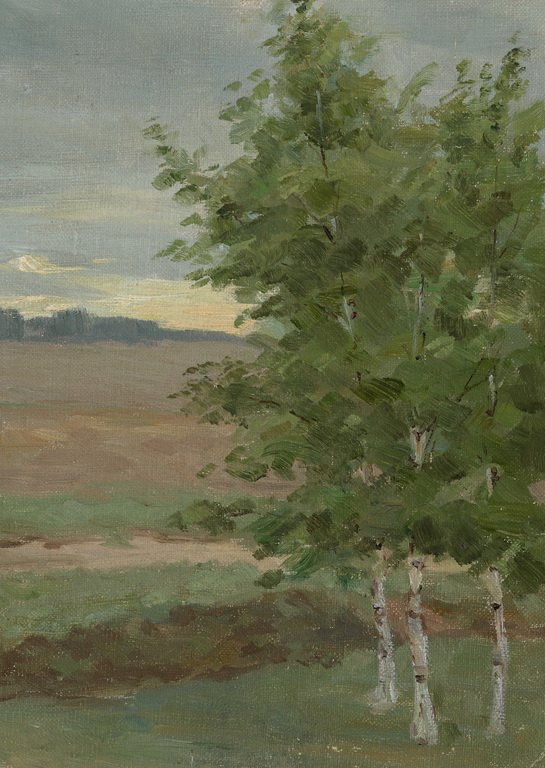 Studio with three birch trees