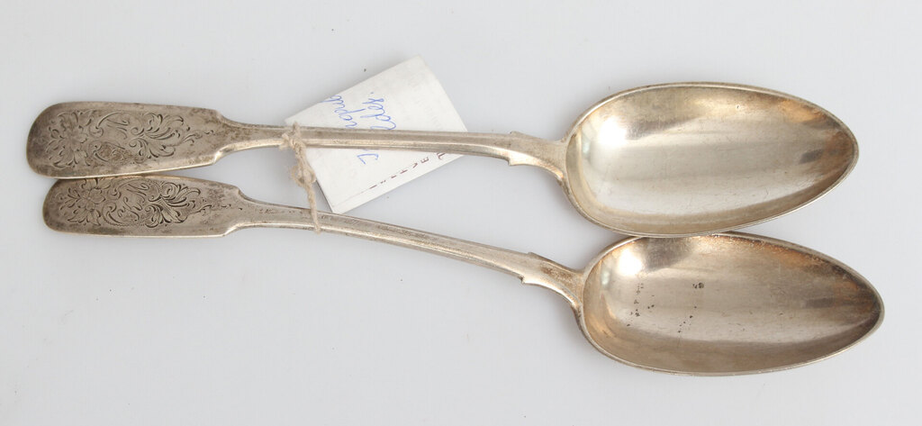 Silver spoon (2 pcs.) 