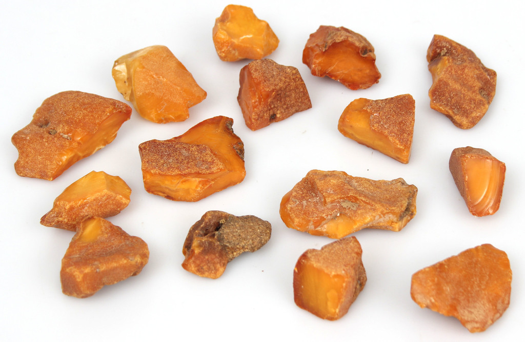 Raw Baltic amber (15 pieces)