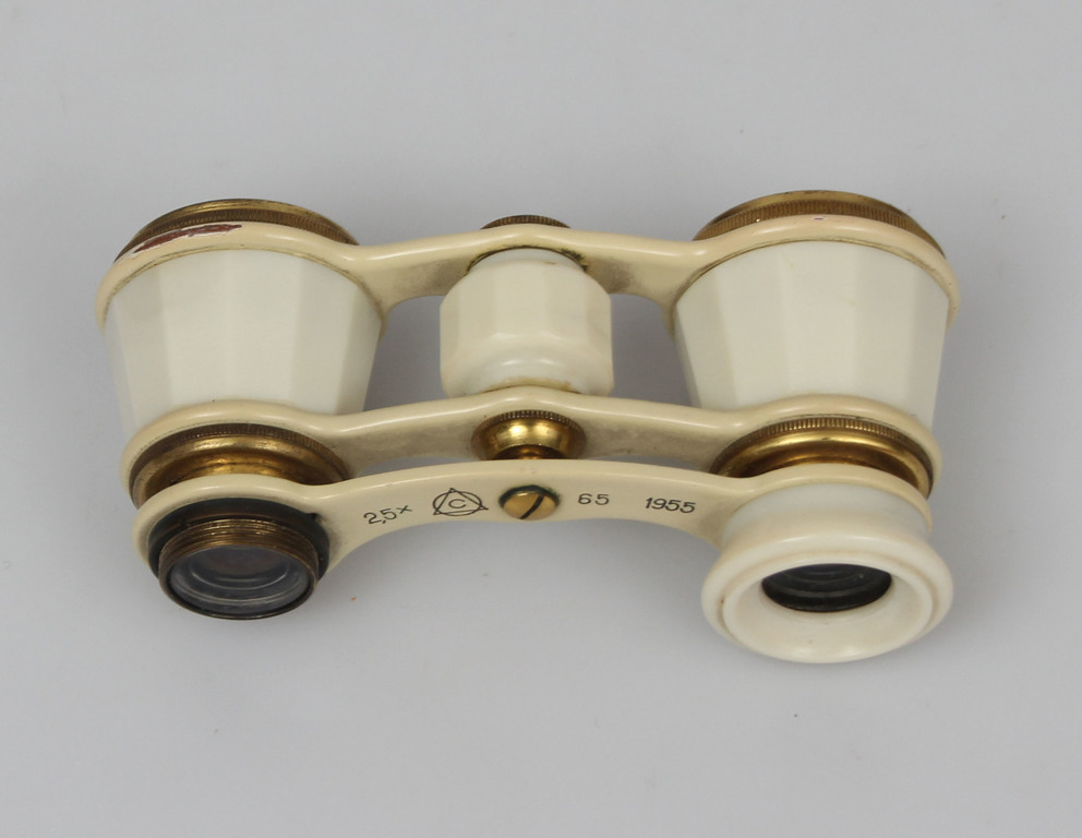 Theater binoculars in a leather case