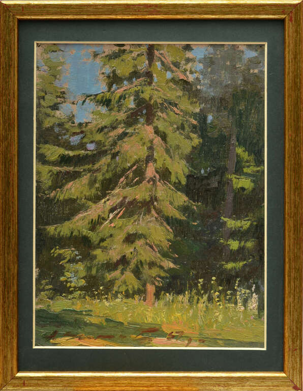 Landscape with a pine tree