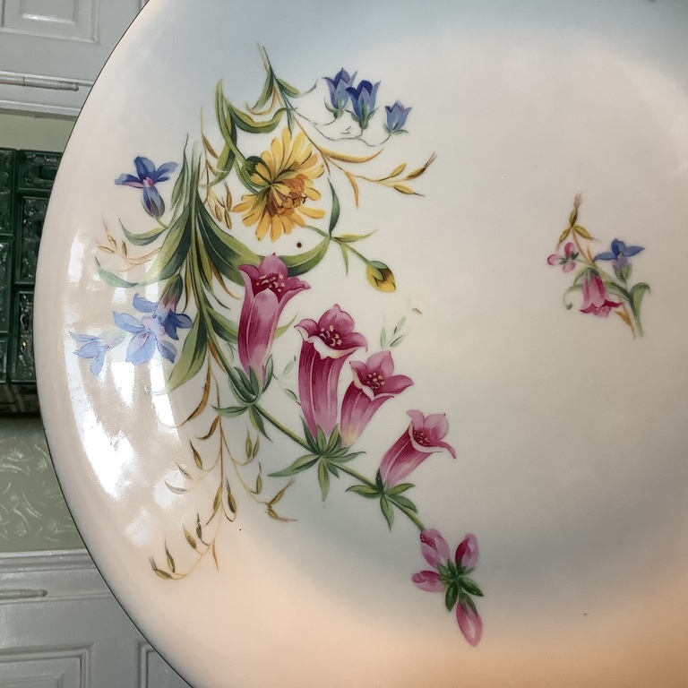 Large serving dish. Germany, hand-painted. The last century. Bremer & Schmidt