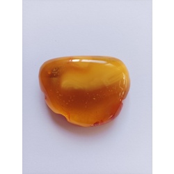 Amber brooch with clasp