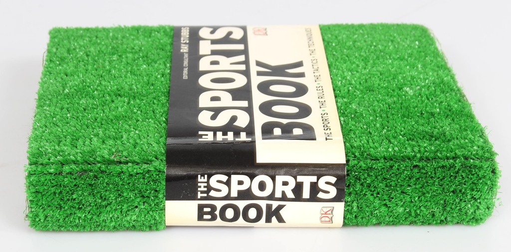 Ray Stubbs, The Sports book