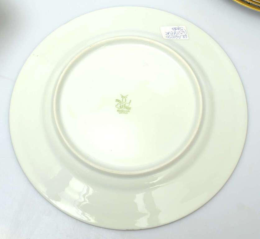 Porcelain dinner plates