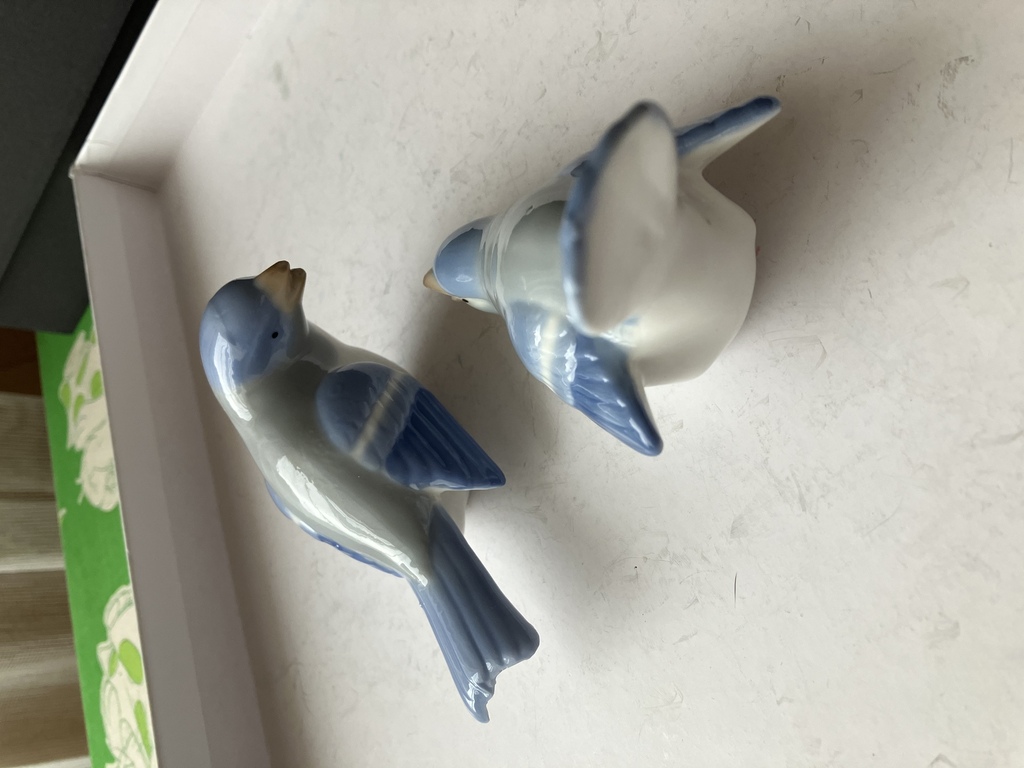 Porcelain birds, a pair