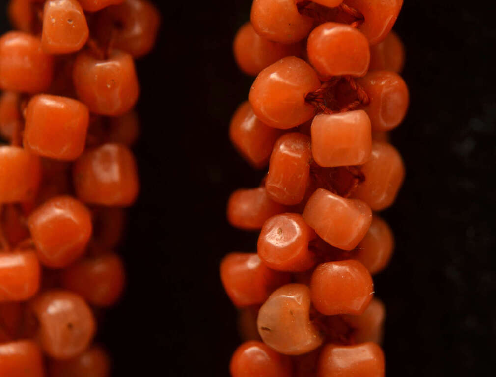 Coral beads with gold clasp