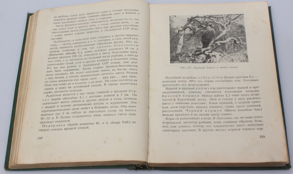 Grāmata ''Охота и охотничье хозяйство в Латвийской ССР''