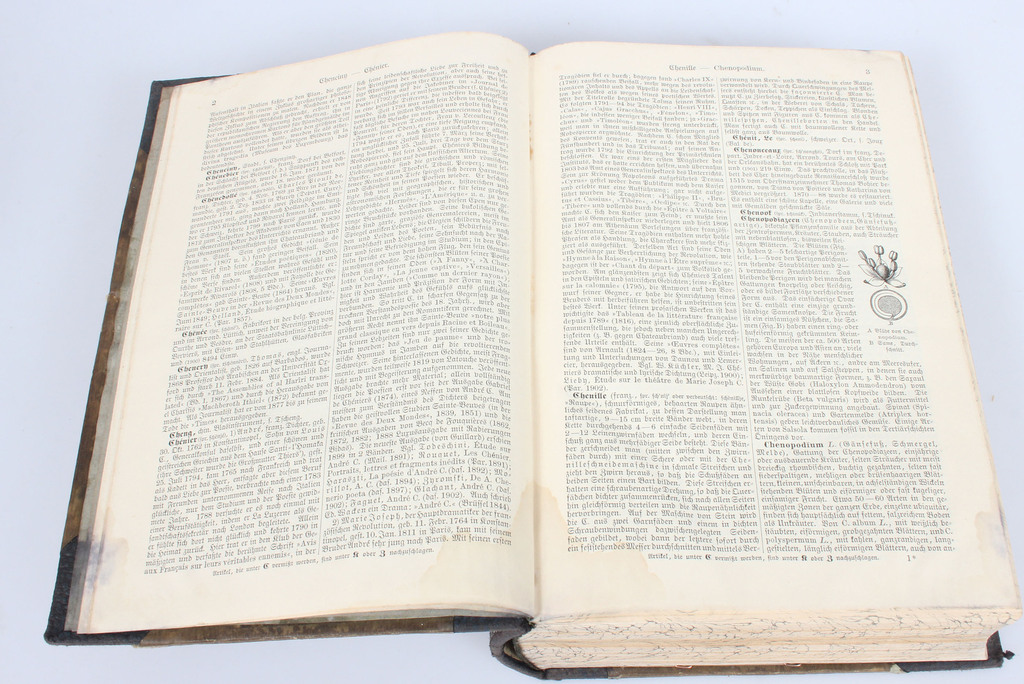 Encyclopedia in German - Meyers Konversations-Lexikon(volume 4)