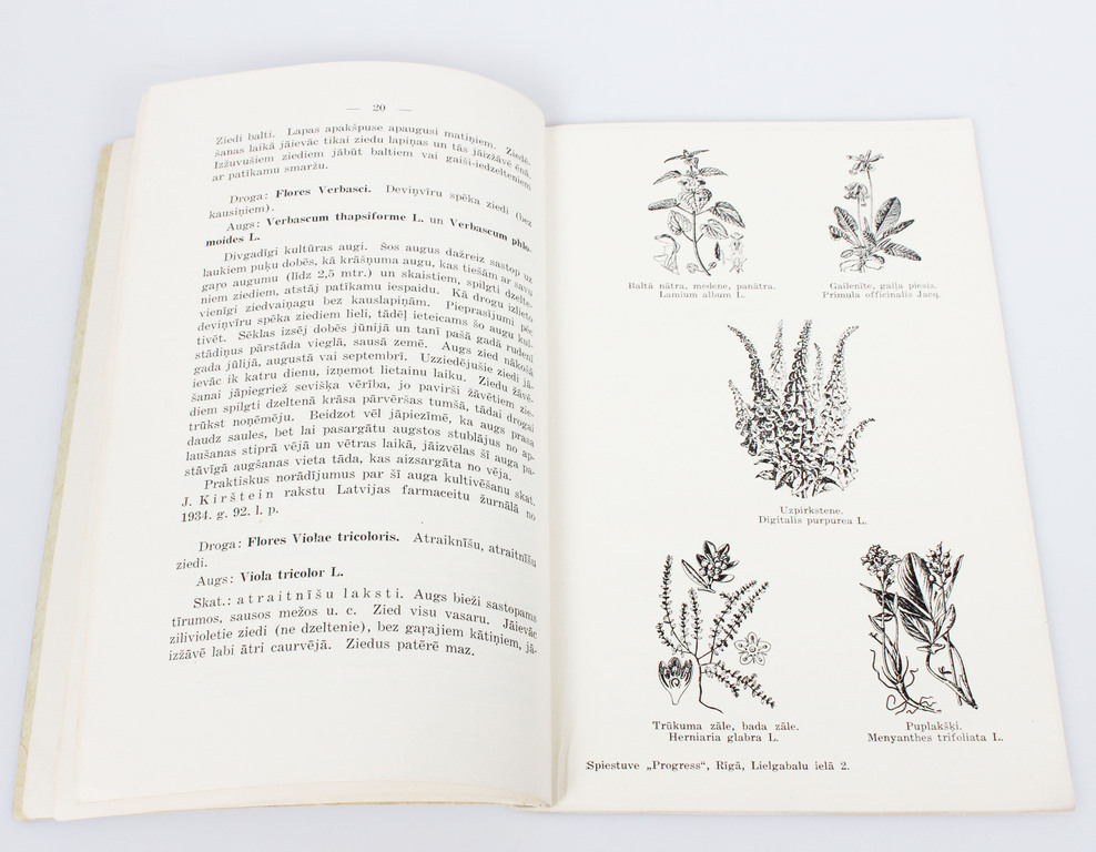  N.Rutenbergs un R.Jakabsons, Rokas grāmata veseļošanās augu ievācējiem