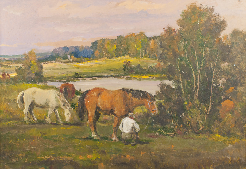 The horses in pasture