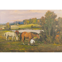 The horses in pasture