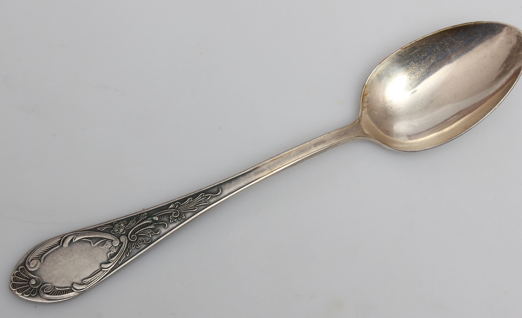 Set of spoons (12 pcs)