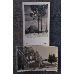 2 pcs.: 1- The winter decoration of a slender pine tree in 1947. 2.- The bent birches of the village in the Bērzaune homestead. 1939