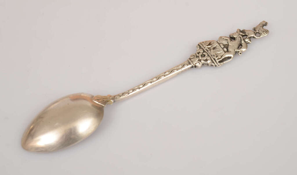 Silver spice spoon 
