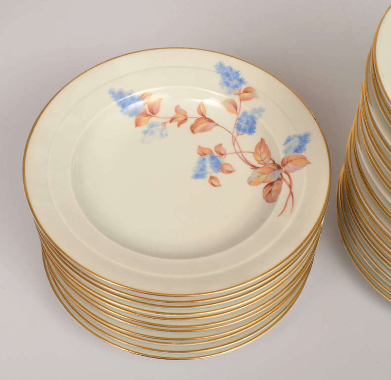 Kuznetsov porcelain deep (11 pcs) and dinner plates (22 pcs)