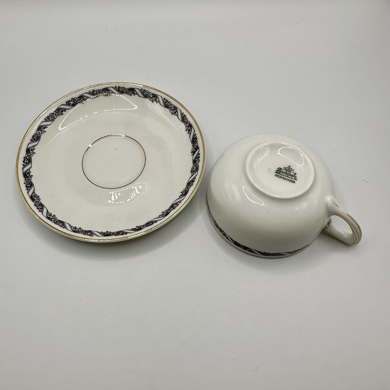 Rosenthal-Selb Bavaria Set Cup and saucer. Hand painted. First half of the 20th century