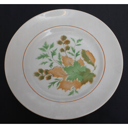 A porcelain plate with a rare plot