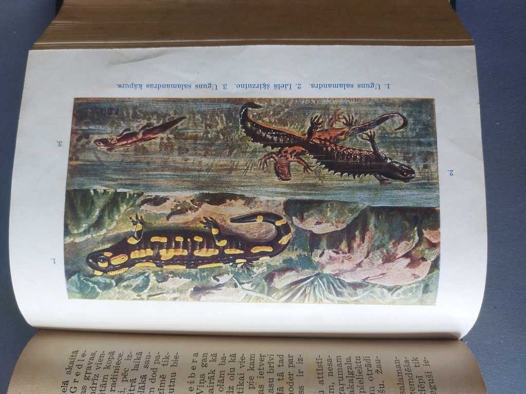 A. BREM ANIMAL KINGDOM in 8 books, 32 pages. 1927-1928 FRIEND OF BOOKS, RIGA 