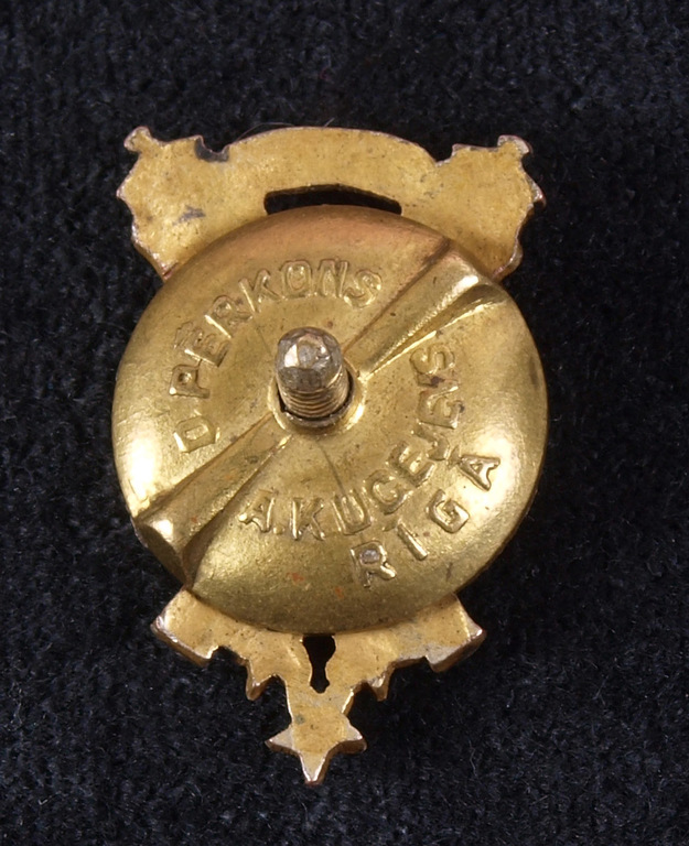 Heavy Artillery Regiment chest mark